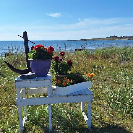 Feriehus Ved Barentshavet - Holiday Home By The Barents Sea Ytre Kiberg Eksteriør bilde